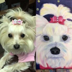 © 2025 Tera Leigh. All rights reserved.